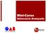 Mini-Curso. Advocacia Avançada