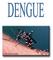 O que é a dengue? Formas de apresentação - Infecção Inaparente sintoma da dengue - Dengue Clássica sintomas da Dengue Clássica