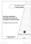 Paul Persuader. Descrição Individual e Estratégias de Sucesso do Programa de Perfil Pessoal. Dimensões do Comportamento