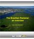 The Brazilian Pantanal: an overview