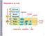 Dispositivos de rede. roteador bridge. switch. switch ATM. transceiver repetidor