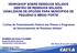 WORKSHOP SOBRE RESÍDUOS SÓLIDOS GESTÃO DE RESÍDUOS SÓLIDOS VIABILIDADE DE OPÇÕES PARA MUNICÍPIOS DE PEQUENO E MÉDIO PORTE