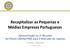 Recapitalizar as Pequenas e Médias Empresas Portuguesas