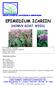 EPIMEDIUM ICARIIN (HORNY GOAT WEED)