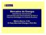 Mercados de Energia Experiências Internacionais, Instrumentos para Gerenciamento de Risco e Possíveis Estratégias no Contexto Brasileiro