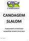CANOAGEM SLALOM PLANEJAMENTO ESTRATÉGICO QUADRIÊNIO OLÍMPICO 2012/2016