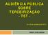 AUDIÊNCIA PÚBLICA SOBRE TERCEIRIZAÇÃO - TST -