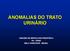 ANOMALIAS DO TRATO URINÁRIO UNIDADE DE NEFROLOGIA PEDIÁTRICA HC - UFMG BELO HORIZONTE - BRASIL
