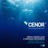 OBRAS HIDRÁULICAS E ENERGIAS RENOVÁVEIS Obras hidráulicas y energías renovables