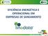 EFICIÊNCIA ENERGÉTICA E OPERACIONAL EM EMPRESAS DE SANEAMENTO