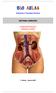 Anatomia e Fisiologia Humana SISTEMA URINÁRIO. DEMONSTRAÇÃO (páginas iniciais)