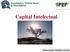 Capital Intelectual. www.celso-foelkel.com.br