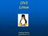 DNS Linux. Rodrigo Gentini gentini@msn.com