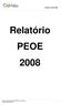 Relatório PEOE 2008 Relatório PEOE 2008