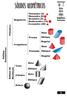 SÓLIDOS GEOMÉTRICOS. da - 2. Sólidos de. geométricos. Rodrigo. Roberto. Tetraedro (4) Hexaedro (6) Octaedro (8) Dudecaedro (12) Icosaedro (20)