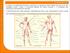 Sistema Muscular. Elementos de Anatomia e Fisiologia Humana