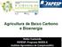 Agricultura de Baixo Carbono e Bioenergia. Heitor Cantarella FAPESP: Programa BIOEN & Instituto Agronômico de Campinas(IAC)