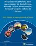 RIAS Relatório de Impacto Ambiental de Sísmica. Empreendimento: Consultora: Geodata Meio Ambiente Ltda
