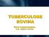 TUBERCULOSE BOVINA. Martin Schmachtenberg E.M. Emater Estrela