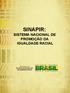 SINAPIR: SISTEMA NACIONAL DE PROMOÇÃO DA IGUALDADE RACIAL