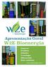 Apresentação Geral W2E Bioenergia. Empresa Produtos Soluções Tecnologia Diferenciais Meio Ambiente. www.w2ebioenergia.com.br