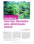 Mandioca: uma boa alternativa para alimentação animal Jorge de Almeida* José Raimundo Ferreira Filho**