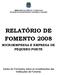 RELATÓRIO DE FOMENTO 2008
