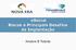 esocial Riscos e Principais Desafios da Implantação Anelore B Tolardo