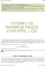 TUTORIAL CSS PRIMEIROS PASSOS COM HTML + CSS