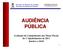 AUDIÊNCIA PÚBLICA. Avaliação do Cumprimento das Metas Fiscais do 1º Quadrimestre de 2011 Janeiro a Abril