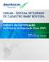 SINCAD - SISTEMA INTEGRADO DE CADASTRO BM&F BOVESPA. Roteiro de Certificação Participante de Negociação Pleno (PNP)