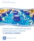 GE Power & Water Water & Process Technologies. Soluções para o tratamento de águas e de processo para a indústria de alimentos e bebidas
