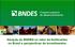 Atuação do BNDES no setor de fertilizantes no Brasil e perspectivas de investimentos
