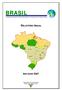 BRASIL RELATÓRIO ANUAL ANO BASE 2007. Programa Nacional de Erradicação e Prevenção da Febre Aftosa