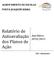 Relatório de Autoavaliação dos Planos de Ação