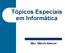 Tópicos Especiais em Informática. Msc. Márcio Alencar