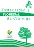 Restauração FLORESTAL. da Caatinga