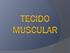 Características: Células alongadas e grande quantidade de filamentos contráteis; Origem mesodérmica;