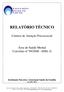 RELATÓRIO TÉCNICO. Centros de Atenção Psicossocial. Área de Saúde Mental Convênio nº 99/2008 - SMS. G