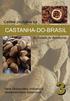 CADEIA PRODUTIVA DA CASTANHA-DO-BRASIL NO ESTADO DO AMAZONAS