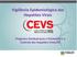 Vigilância Epidemiológica das Hepatites Virais Programa Estadual para a Prevenção e o Controle das Hepatites Virais/RS