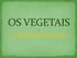 O guia alimentar recomenda um mínimo de 3 porções diárias desse grupo de alimentos. A ingestão deve ser equilibrada e variada ao longo da semana.