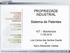 PROPRIEDADE INDUSTRIAL. Sistema de Patentes. NIT - Mackenzie 11.08.2010. Luís Carlos dos Santos Duarte & Nuno Alexandre Caldas