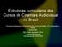 Estruturas curriculares dos Cursos de Cinema e Audiovisual no Brasil