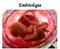 Embriologia: É a parte da Biologia que estuda as transformações que se tem no embrião, desde a formação da célula-ovo até o nascimento.