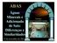 ABAS. Águas Minerais e Adicionada. de Sais: Diferenças e Similaridades. 17 de novembro de 2011. Geólogo Lucio Carramillo Caetano