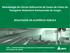 RESULTADOS DA AUDIÊNCIA PÚBLICA SUROC - SUPERINTENDÊNCIA DE SERVIÇOS DE TRANSPORTE RODOVIÁRIO E MULTIMODAL DE CARGAS