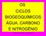 OS CICLOS BIOGEOQUÍMICOS: ÁGUA, CARBONO E NITROGÊNIO. Profº Júlio César Arrué dos Santos
