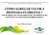 COMO AGREGAR VALOR A BIOMASSA FLORESTAL? NOVOS PRODUTOS, NOVOS PROCESSOS, DIVERSIFICAÇÃO, INOVAÇÃO E O CONCEITO DE BIORREFINARIAS.