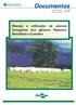Manejo e utilização de plantas forrageiras dos gêneros Panicum, Brachiaria e Cynodon Foto: César Antônio Cordeiro, 1999.